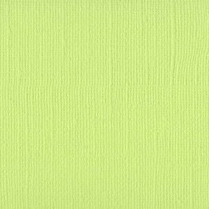 Bazzill Mono 12x12 - limeade