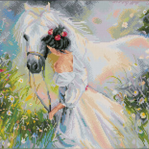 Diamond Dotz Squares DQ10 – Field of dreams 41x50cm