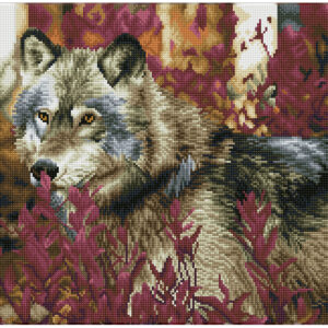 Diamond Dotz Squares DQ12 – Autumn Wolf 42x57cm