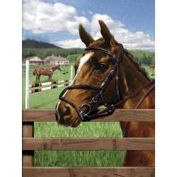 PaintByNr - Equine Paddock