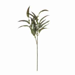 Eukalyptus stilk 70cm
