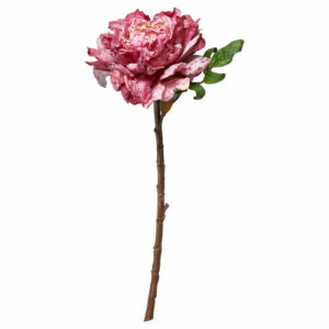 Peon stilk pink 42cm rosalilla