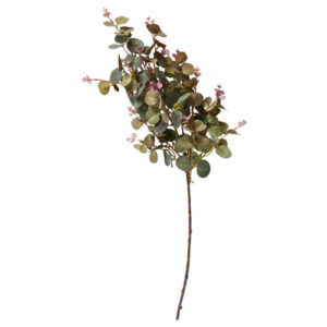 Eukalyptus stilk 70cm lillagrønn