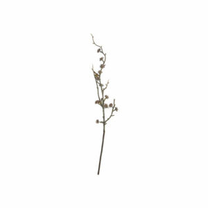 Gren m/knopper 60cm brun