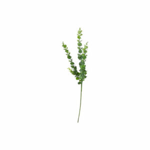 Eukalyptus stilk 76cm