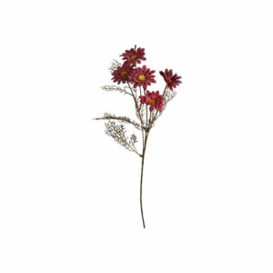 Krysantemum stilk 50cm mørkrød