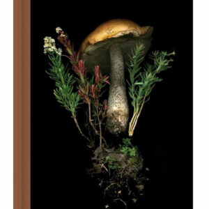 Deep dark forest journal