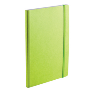 EcoQua notebook A5 prikker lime