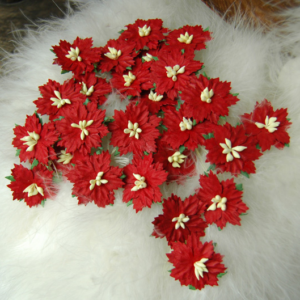 Julestjerner, rød m/beige bær