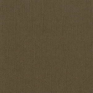 Bazzill Mono 12x12 - bark