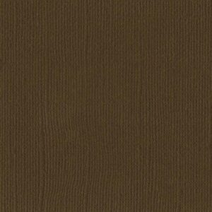 Bazzill Mono 12x12 - pinecone