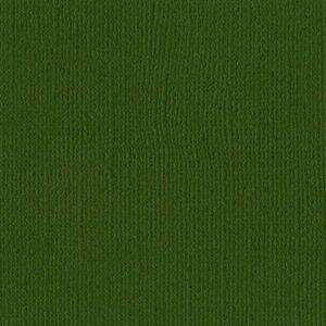 Bazzill Mono 12x12 - ivy