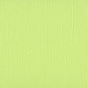 Bazzill Mono 12x12 - limeade
