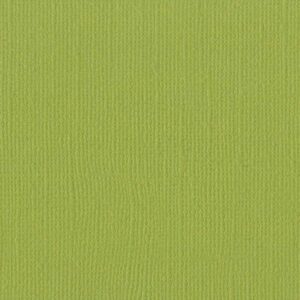 Bazzill Mono 12x12 - parakeet