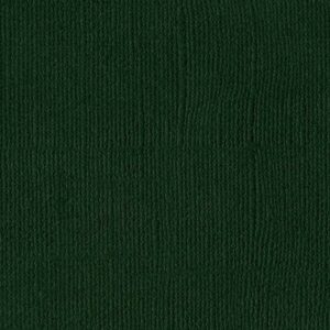 Bazzill Mono 12x12 - aspen