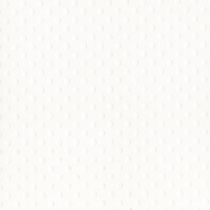 Bazzill Dotted Swiss 12x12 - salt