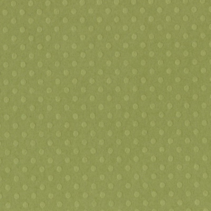 Bazzill Dotted Swiss 12x12 - irish eyes