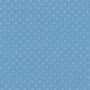 Bazzill Dotted Swiss 12x12 - poolside