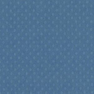 Bazzill Dotted Swiss 12x12 - surf's up