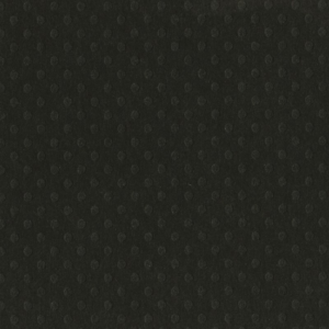 Bazzill Dotted Swiss 12x12 - pepper