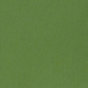 Bazzill Fourz 12x12 - guacamole