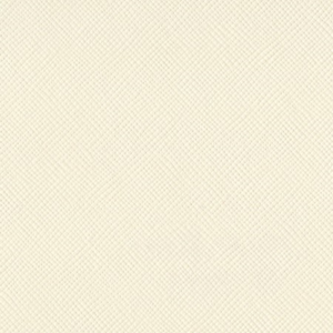 Bazzill Classic 12x12 - cream puff