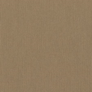 Bazzill Fourz 12x12 - quick sand