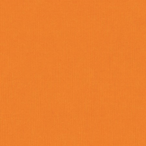 Bazzill Fourz 12x12 - carrotcake