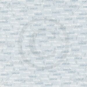 Lille gull - dåpsark gutt