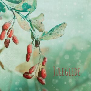 Servietter JUL- Juleglede