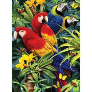 PaintByNr - Majestic Macaws