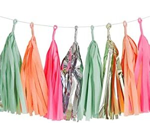 Decadent Decs - Malibu tassel garland 3m