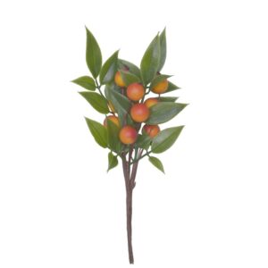 Orange bær med blader