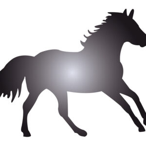 Pronty Sjablong A5 – Hest