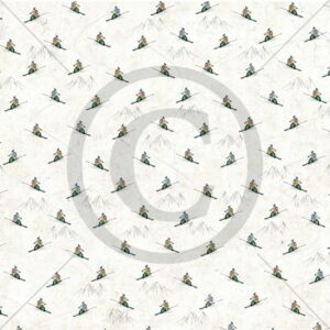 Hyttetur - Full fart i svingene