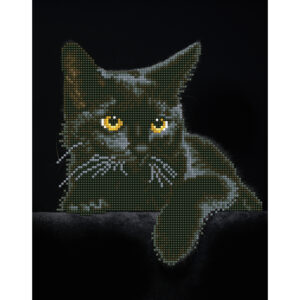 Diamond Dotz DD5 – Midnight Cat 28x35cm