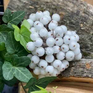 Bær, hvit med sukker