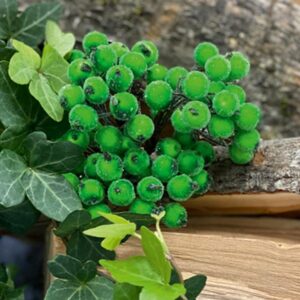 Bær, grønn med sukker