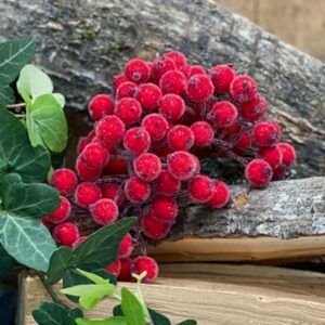 Bær, rød med sukker