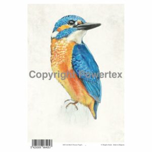 Powertex Powerprint A4 Bird Colour
