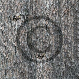 Til Deg og Dine - furubark