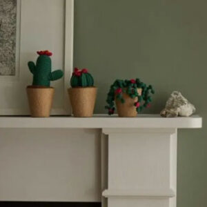 DMC Gift of Stitch - hekle kit, kaktus