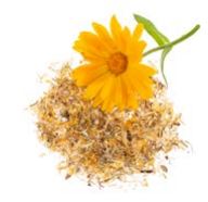 Glorex Marigold flowers 2g