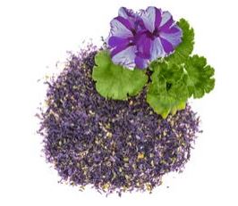 Glorex Mallow flowers 3g