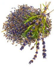 Glorex lavendar flowers 4g