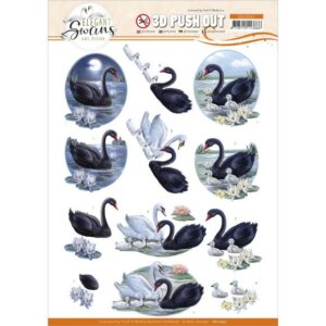 3D black swans