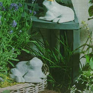 støpeform frosk med og uten krone