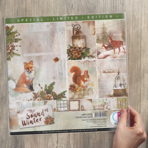 Ciao Bella Paper Pack 12x12" - Limited Edition The Sound of Winter