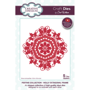 Creative Expressions Die - holly octagon frame