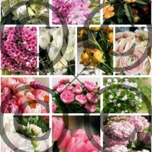 Motivark - blomsterklipp